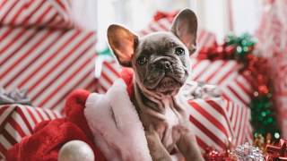 Tinker's 30th Holiday Bash - Voted Best Gift Shop 2018