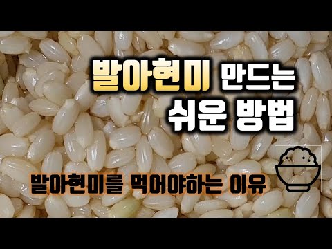 발아현미 만드는 쉬운방법/ 발아현미를 먹어야하는 이유, 발아현미밥 물양조절팁