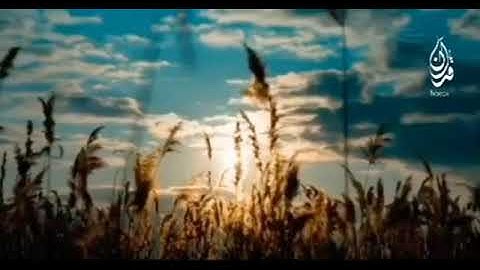 تلاوه هادئه تريح الأعصاب للقارئ زيد الدليمي