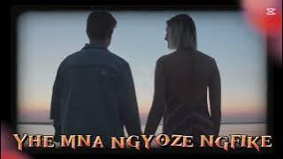 Download lagu Ngisendleleni (Visual Lyrics)