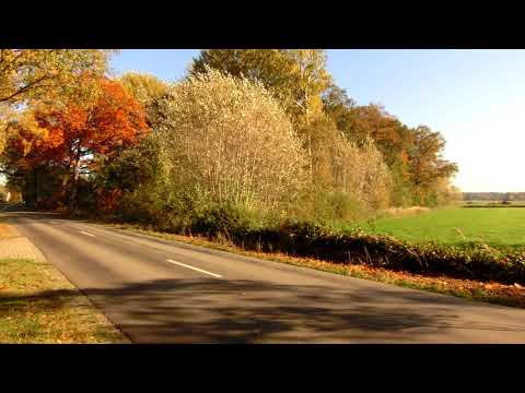 Impressie verkeer Ruurloseweg 76 Hengelo