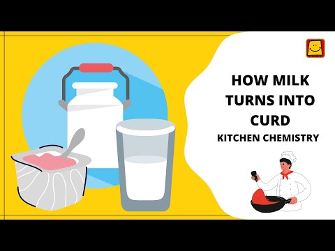 Video: Kde prebieha mliečna fermentácia?