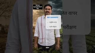 कापूस लागवड: भरघोस उत्पादनासाठी आधुनिक तंत्रज्ञान! | Cotton Farming Technology | बळीराज्य