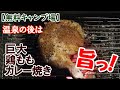 【無料キャンプ場】5ヶ月ぶりのキャンプ(第5話)　巨大鶏モモをカレー焼きにしたら最高に旨かったのに！そっちに負ける!?