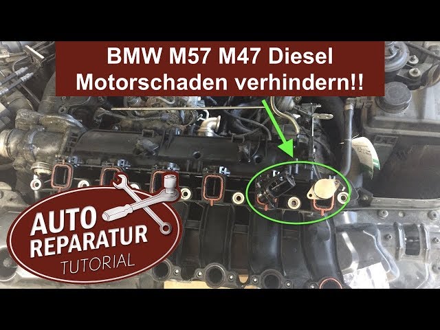 BMW Drallklappen entfernen um Motorschaden zu verhindern ‼️ M57 M47