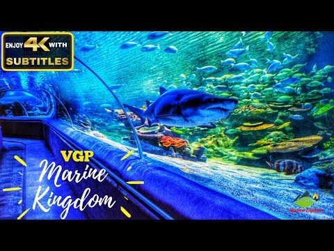 VGP Marine Kingdom | India's first Underwater tunnel aquarium | Must visit place in Chennai