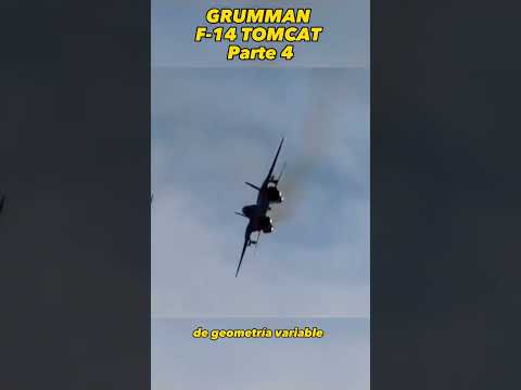 GRUMMAN F-14 TOMCAT - EL NUEVO SUPER TOMCAT