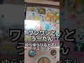 ガチャガチャ!ワンワンとうーたん ゆらゆらひもとおしマスコットの巻 #shorts