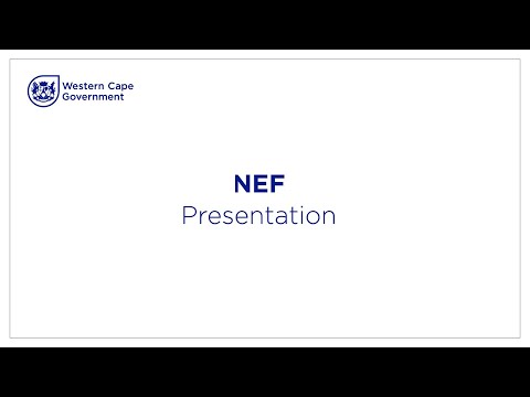 Access to finance webinar series - NEF presentation