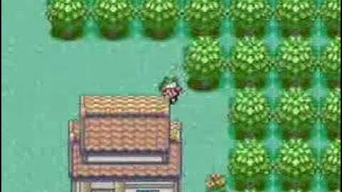 Emerald Walkthrough 2 - First Battle With Brendan!