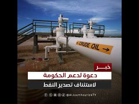 الزبيدي يدعو لدعم دولي لاستئناف تصدير النفط وتحسين الخدمات باليمن