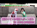 阪田マリンの昭和レトロスポット巡りin大分県 豊後高田市 #6 昭和仮面のおすすめスポットへ!