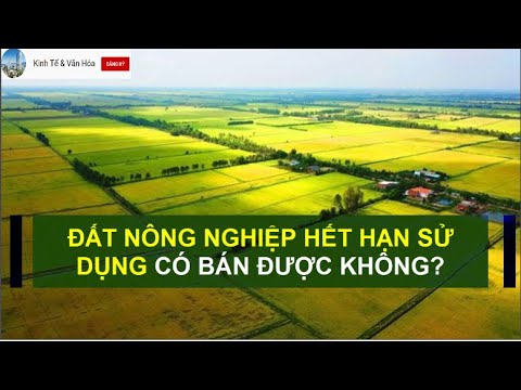 Video: Về Việc Không Sử Dụng đất Nông Nghiệp