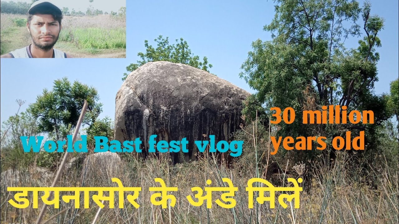 dinosaur vlogs!! dinosaur video viral!! dinosaur egg!! YouTube