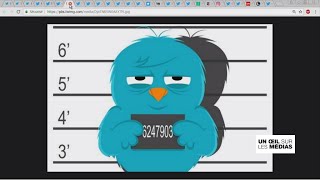 Comptes Twitter bloqués : l'oiseau bleu ne ménage pas tout le monde