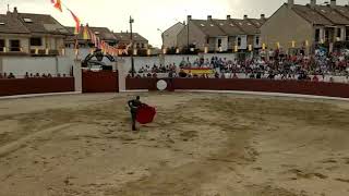 Así fue la becerrada en Valdeolmos