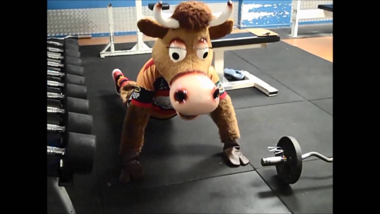Mooloo preparing for shield challenge at First Place Fitness