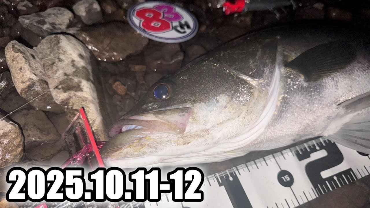 【ﾘﾊﾞｰｼｰﾊﾞｽ】とあるポイントにて、10投中3HIT。。。