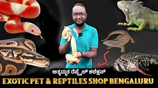 Rare Exotic Reptiles Shop in Bengaluru 🐍 | Savannah Monitor, Tegu, Ball Python🐢 | Karnataka Aquarium
