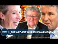 RECHTSEXTREMISMUS: Die fatalen Fehler der AfD! | Politikexperte Patzelt im WELT-Interview