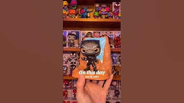 All of my Black Panther Funko Pops! #funko #funkopop #marvelfunkopop #blackpanther