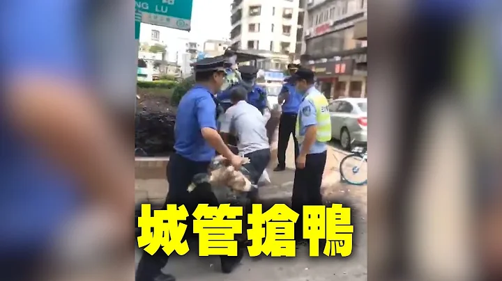 廣州增城，城管搶鴨。圍觀群眾感嘆：搵食艱難| #大紀元新聞網 - 天天要聞