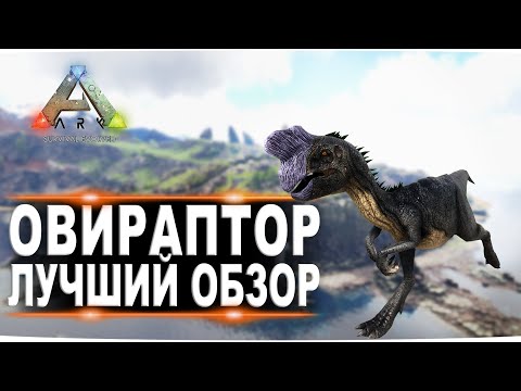 Видео: Овираптор (Oviraptor) в АРК. Лучший обзор: приручение, разведение и способности  в ark.