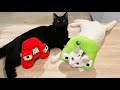 Alphabet Lore Plushies vs Cats Part 3