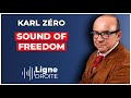 Sound of freedom  le film le plus dtest des mdias mainstream   karl zro