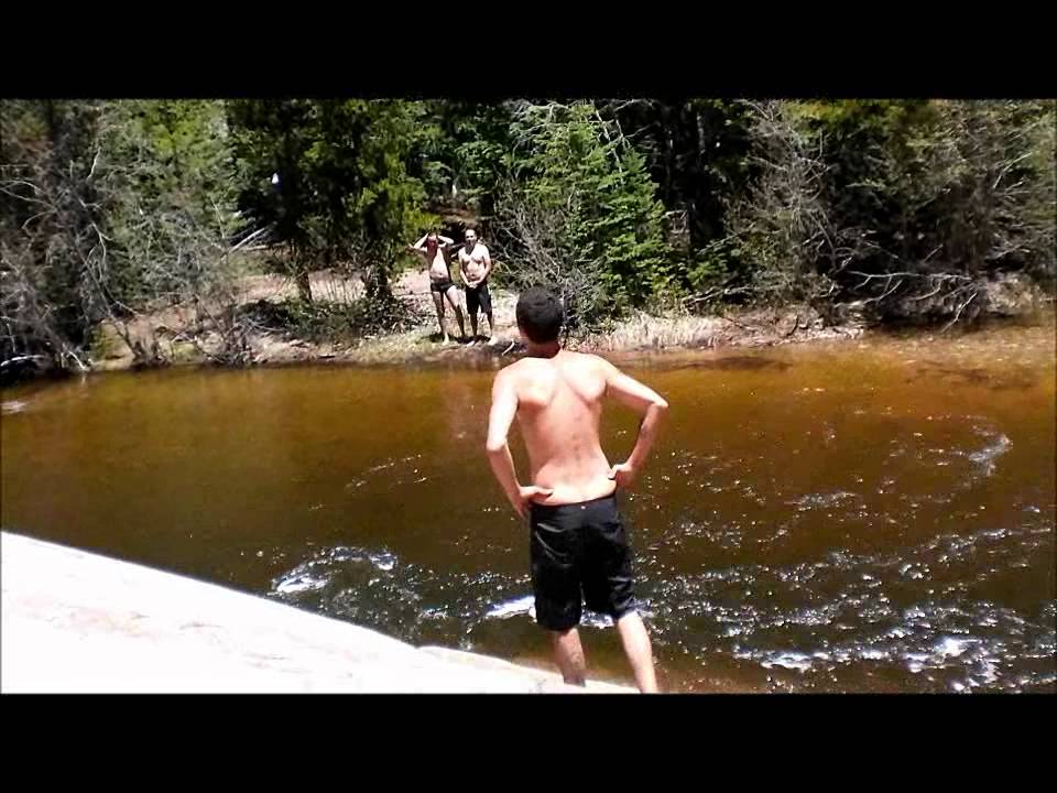 polar bears aspen style YouTube