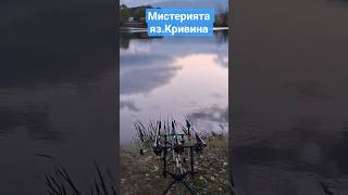 язовир Кривина, студено капочино #carpfishing #fishing #carp #риболов #lake