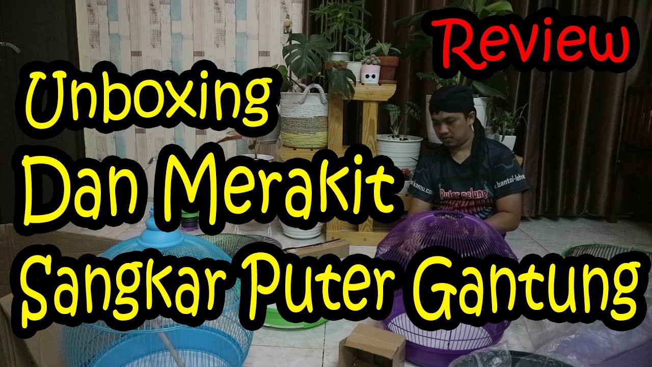 Unboxing Dan Merakit Sangkar Gantung Puter Pelung Dari Besi. Mau? wa