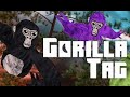 GORILLA TAG LIVE playing in private servers with VIEWERS!