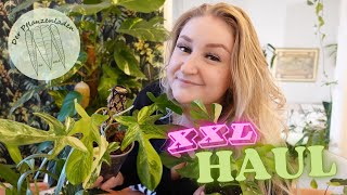 XXL PFLANZEN HAUL ✨ | Der Pflanzenladen