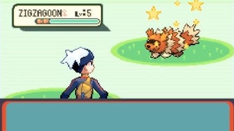 [Live] Shiny Zigzagoon in ONLY 4 Random Encounters