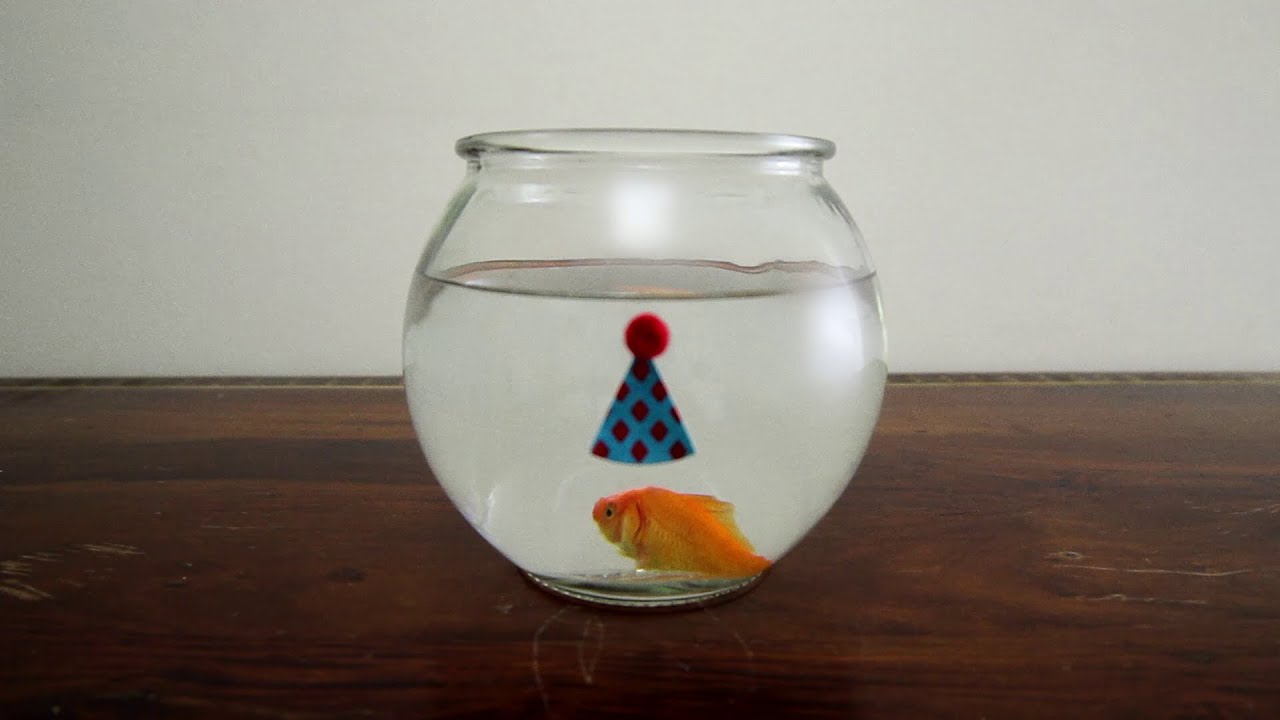 watershed Pembroke Pines