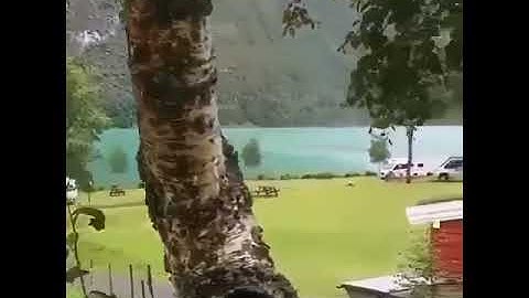 تلاوة جميلة جدا بصوت علي احمد داوود من اليمن