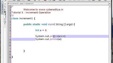 Tutorial 5 : Java : Increment Operations in Java