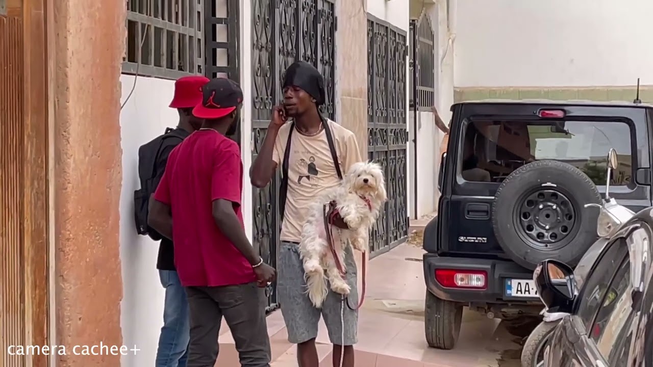 Il pensait gagner un mouton de Tabaski mais finalement il gagne un chiot (Camera cachée+ 8)