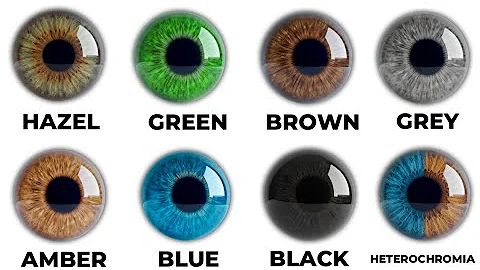 Every Hidden Power of Your Eye Color Explained 