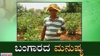 Bangarada Manushya: Farmer Kumar Naik Cultivated Anjura Fruit by Adopting Modern Thoughts