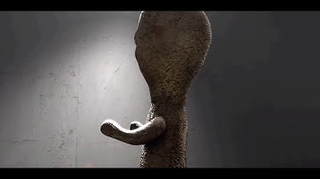 SCP D Class P.O.V SFM