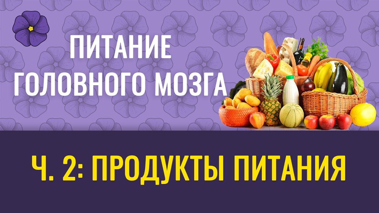 ⁣Питание головного мозга, ч.2 – продукты питания