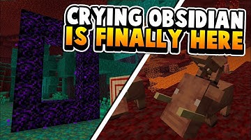 After Over 8 Years They Finally Added It!! (1.16)