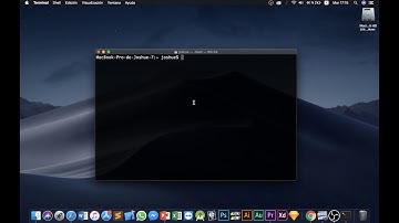 Terminal en MacOS, HomeBrew, Instalación de Python