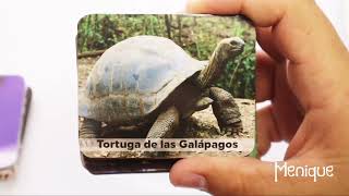 Juego de Memoria Animales Salvajes screenshot 5