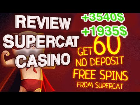 Rozgrywaj najlepsze gry w kasynie online - Supercat Casino