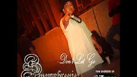 Spawnbreezie - Don't Let Go (Audio)