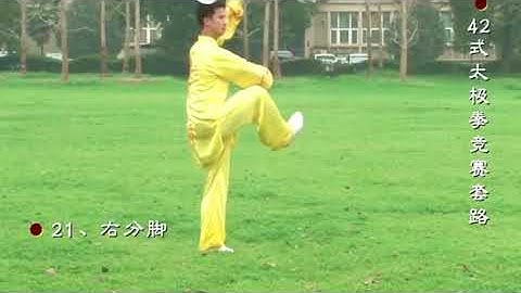 42式太極拳演練 - 易鵬 42 form Tai Chi Demonstration