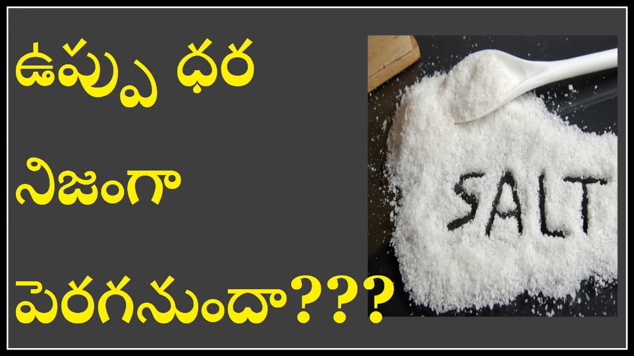the price of salt the price of salt